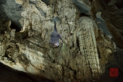 Phong Nha 2016 - Cave XX