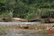 Phong Nha 2016 - River V