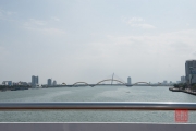 Da Nang 2016 - Dragon Bridge