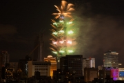 Taiwan 2016 Fireworks VII