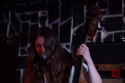 Stereo Woodland 2017 - Hallvard Gaardlos II