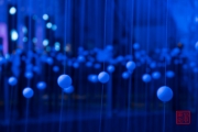 Blaue Nacht 2017 - Schwärmen II