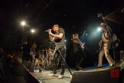 Hirsch Dr. Woo's Rock 'n' Roll Circus 2017 III